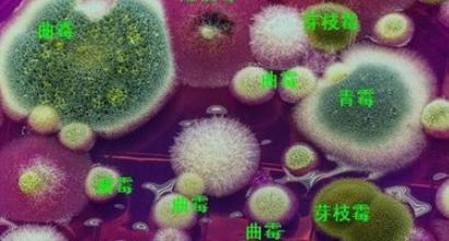 衛(wèi)生間漏水只禍及樓下？巨大危害不可不察(圖文)