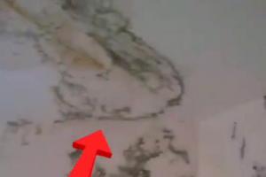 樓頂漏水導(dǎo)致樓下墻壁生霉菌，這樣能修嗎？速修哥當(dāng)然可以修（視頻）
